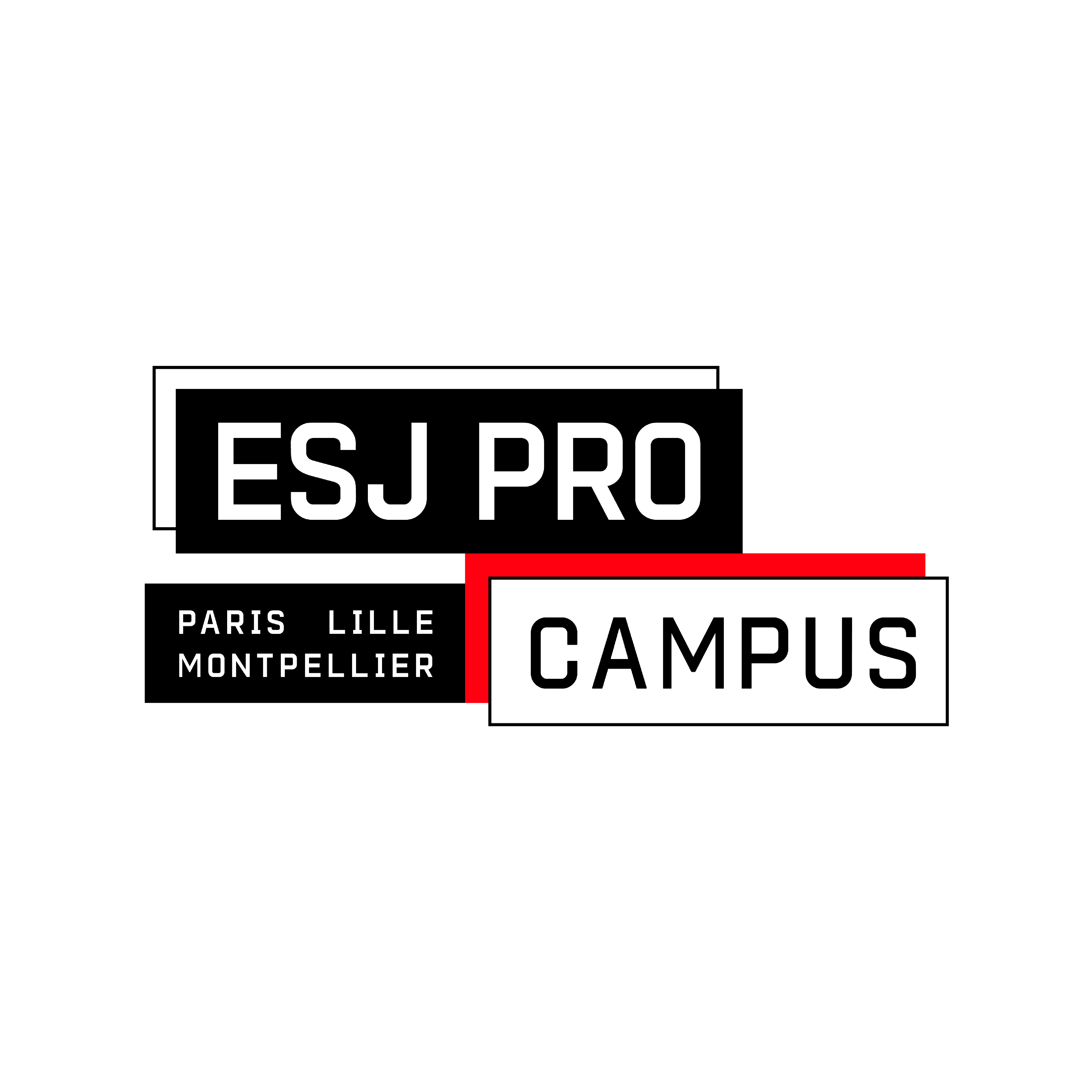 Logo ESJ PRO